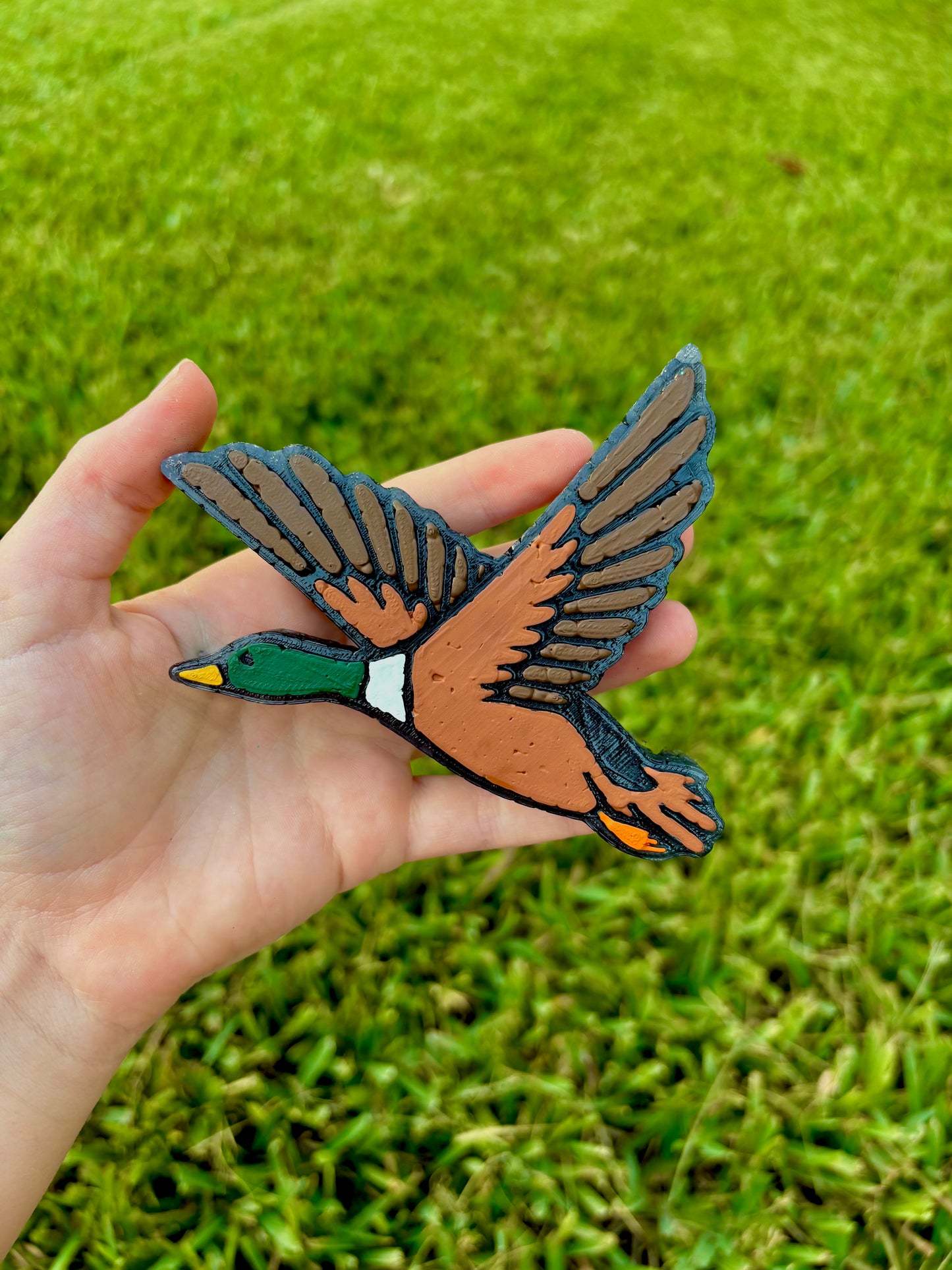 Mallord Duck