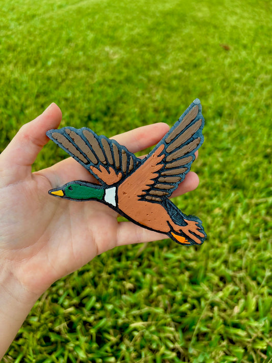 Mallord Duck